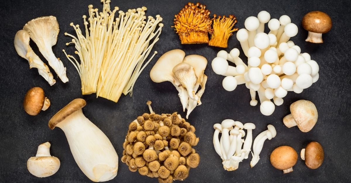 mushrooms